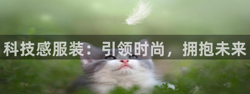 金年会体育官方入口