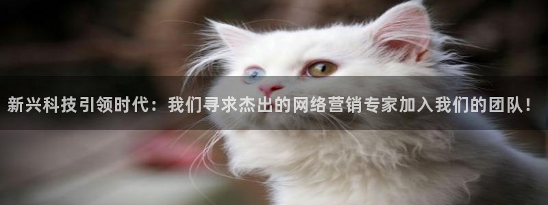 金年会是正规平台吗