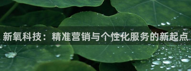 金年会体育app网页版官方入口