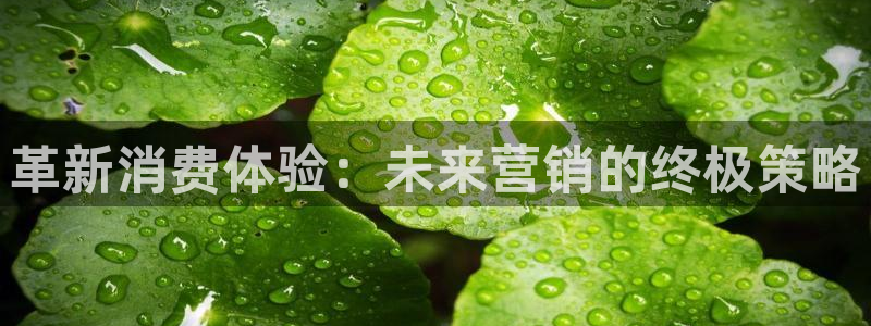 金年会官方