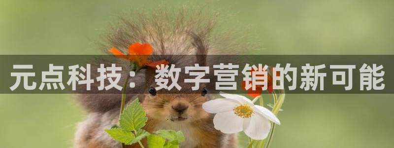 金年会体育app官网入口下载