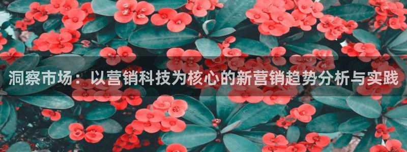 金年会体育jinnianvip