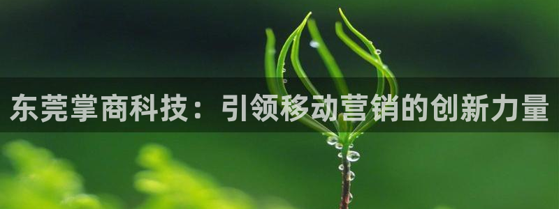 金年会体育APP官方网站