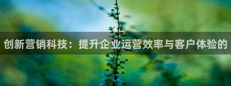 金年会手机网页版官网