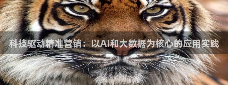 金年会在线入口2023