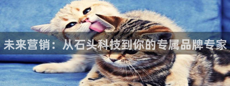 金年会ios