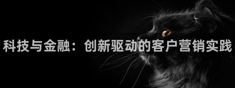 金年会下载安卓