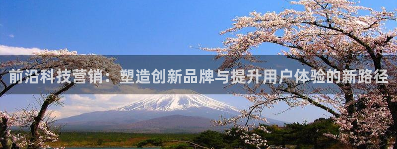 金年会体育官方app下载