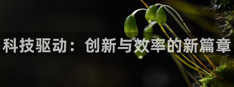 金年会官方app下载最新版