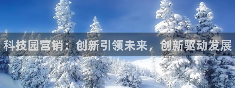 金年会网址导航下载安装