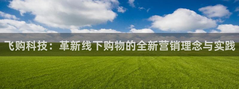 金年会体育注册：飞购