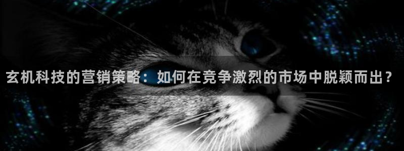 金年会pg电子官网