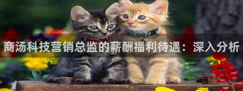 金年会体育平台连接下载