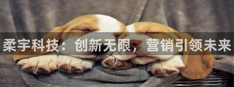 金年会网站怎么样