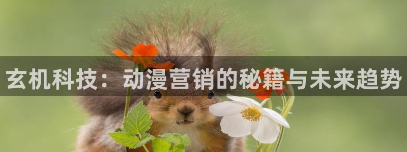 金年会金字招牌诚信至上龙年