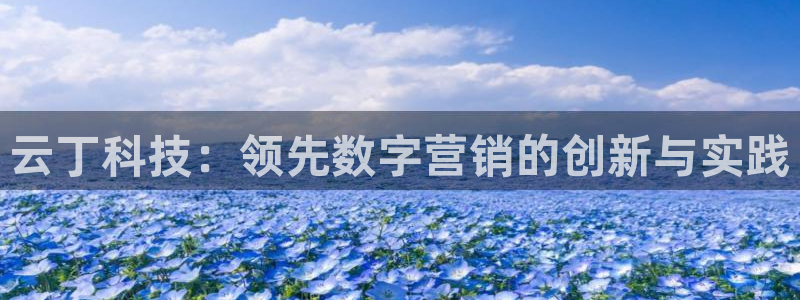 金年会体育app下载官网苹果