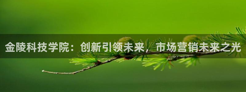 金年会网页版登陆入口