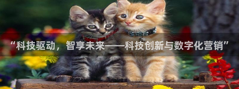 金年会体育官方app下载安卓