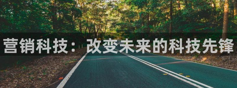 金年会官方网站入口登录网址是什么