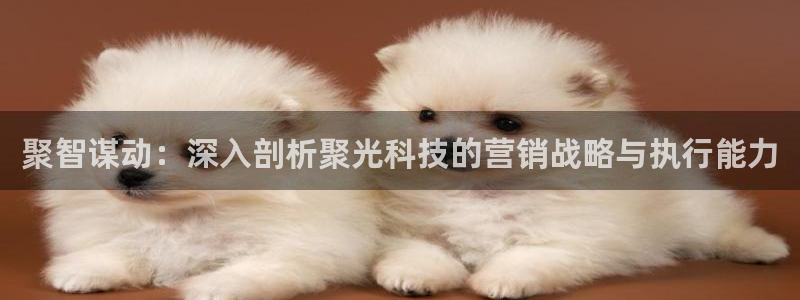 金年会网赌靠普吗