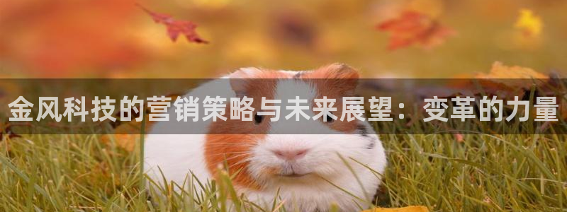 金年会手机网页版官网