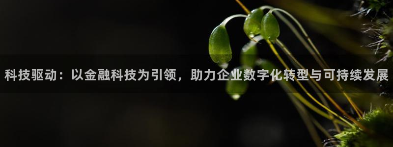 金年会电子游戏app官方