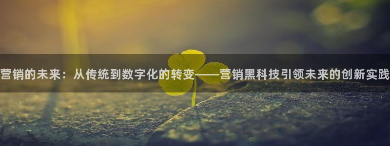 金年会体育网站