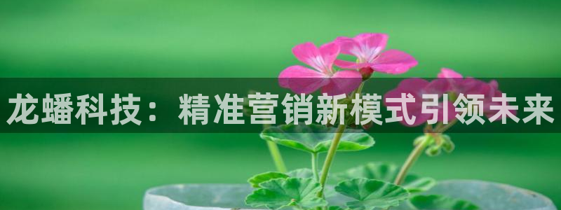 金年会网登录平台入口金年会