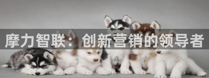 金年会los版下载