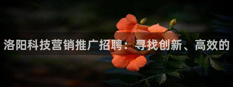 金年会电子游戏